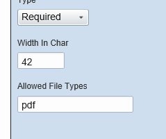 allowed file types field